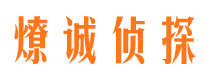 武定私家调查公司